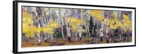 Fall Harmonies-Robert Moore-Framed Art Print