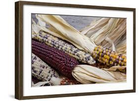 Fall Harvest Colorful Indian Corn, California, USA-Cindy Miller Hopkins-Framed Photographic Print