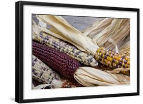 Fall Harvest Colorful Indian Corn, California, USA-Cindy Miller Hopkins-Framed Photographic Print