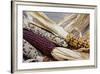 Fall Harvest Colorful Indian Corn, California, USA-Cindy Miller Hopkins-Framed Photographic Print