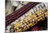 Fall Harvest Colorful Indian Corn, California, USA-Cindy Miller Hopkins-Mounted Photographic Print