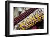 Fall Harvest Colorful Indian Corn, California, USA-Cindy Miller Hopkins-Framed Photographic Print