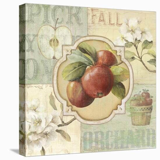 Fall Harvest II-Lisa Audit-Stretched Canvas