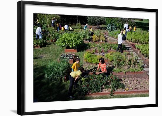 Fall Harvest of the White House Kitchen Garden,  Michelle Obama, White House Chefs and Children-null-Framed Photo