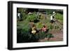 Fall Harvest of the White House Kitchen Garden,  Michelle Obama, White House Chefs and Children-null-Framed Photo