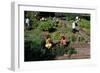 Fall Harvest of the White House Kitchen Garden,  Michelle Obama, White House Chefs and Children-null-Framed Photo