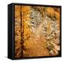 Fall Hike-Ursula Abresch-Framed Stretched Canvas