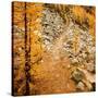 Fall Hike-Ursula Abresch-Stretched Canvas