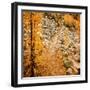 Fall Hike-Ursula Abresch-Framed Photographic Print