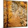 Fall Hike-Ursula Abresch-Mounted Photographic Print