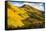 Fall Hills of Colorado-duallogic-Framed Stretched Canvas