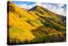Fall Hills of Colorado-duallogic-Stretched Canvas