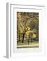 Fall I-Harold Altman-Framed Collectable Print