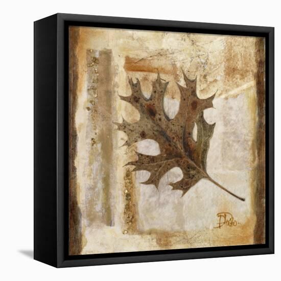 Fall I-Patricia Pinto-Framed Stretched Canvas