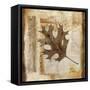 Fall I-Patricia Pinto-Framed Stretched Canvas