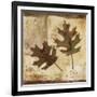 Fall II-Patricia Pinto-Framed Art Print