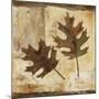 Fall II-Patricia Pinto-Mounted Art Print