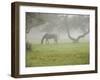 Fall Images Plus-Nance Trueworthy-Framed Photographic Print