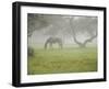 Fall Images Plus-Nance Trueworthy-Framed Photographic Print