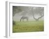 Fall Images Plus-Nance Trueworthy-Framed Photographic Print