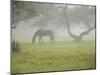 Fall Images Plus-Nance Trueworthy-Mounted Photographic Print