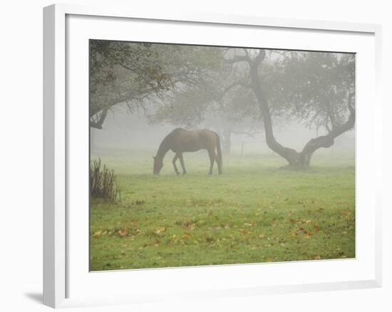 Fall Images Plus-Nance Trueworthy-Framed Photographic Print