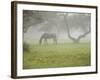 Fall Images Plus-Nance Trueworthy-Framed Photographic Print