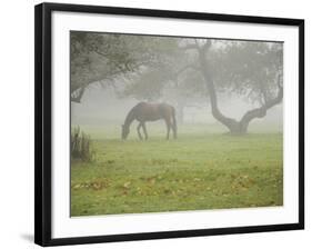 Fall Images Plus-Nance Trueworthy-Framed Photographic Print