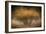 Fall Impression-Ursula Abresch-Framed Photographic Print