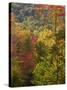 Fall in a Forest in Grafton, New Hampshire, USA-Jerry & Marcy Monkman-Stretched Canvas
