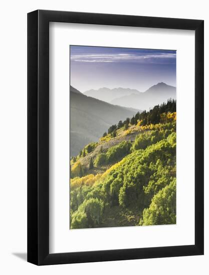 Fall in Big Cottonwood Canyon, Utah-Lindsay Daniels-Framed Photographic Print