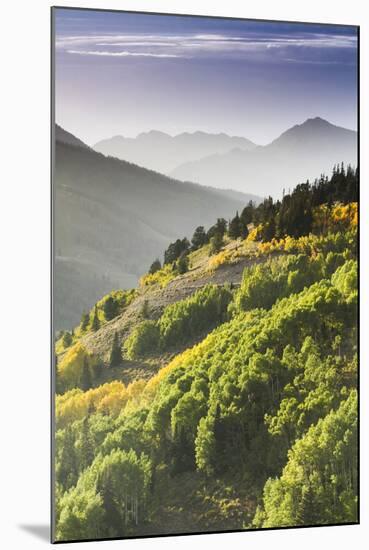 Fall in Big Cottonwood Canyon, Utah-Lindsay Daniels-Mounted Photographic Print