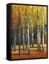 Fall in Glory I-Tim O'toole-Framed Stretched Canvas