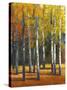 Fall in Glory I-Tim O'toole-Stretched Canvas