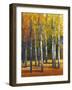 Fall in Glory I-Tim O'toole-Framed Art Print