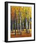 Fall in Glory I-Tim O'toole-Framed Art Print