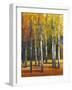 Fall in Glory I-Tim O'toole-Framed Art Print