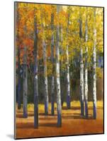 Fall in Glory I-Tim O'toole-Mounted Art Print