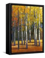Fall in Glory I-Tim O'toole-Framed Stretched Canvas