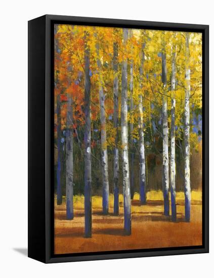 Fall in Glory I-Tim O'toole-Framed Stretched Canvas