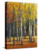 Fall in Glory I-Tim O'toole-Stretched Canvas