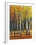 Fall in Glory I-Tim O'toole-Framed Art Print