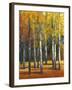 Fall in Glory I-Tim O'toole-Framed Art Print