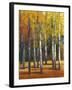 Fall in Glory I-Tim O'toole-Framed Art Print