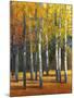 Fall in Glory I-Tim O'toole-Mounted Art Print