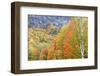 Fall in Grafton Notch State Park, Maine.-Jerry & Marcy Monkman-Framed Photographic Print