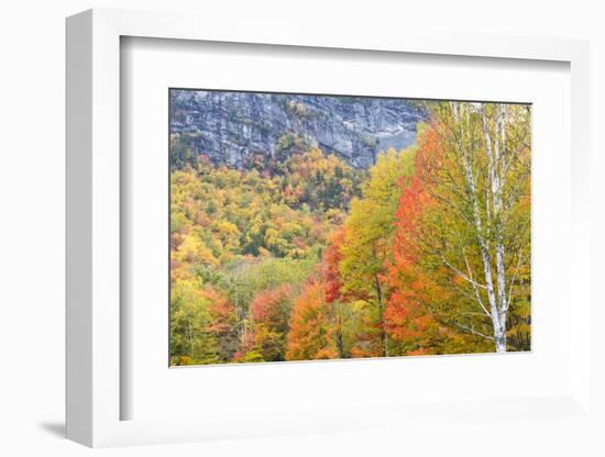 Fall in Grafton Notch State Park, Maine.-Jerry & Marcy Monkman-Framed Photographic Print