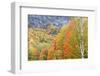 Fall in Grafton Notch State Park, Maine.-Jerry & Marcy Monkman-Framed Photographic Print