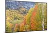 Fall in Grafton Notch State Park, Maine.-Jerry & Marcy Monkman-Mounted Photographic Print