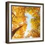 Fall in Height-Philippe Sainte-Laudy-Framed Photographic Print